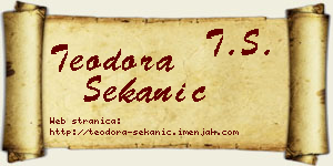 Teodora Sekanić vizit kartica